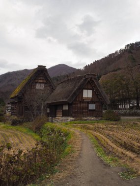 Shirakawago, küçük, güzel ve eşsiz Köyü