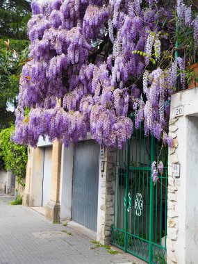Mor çiçekler güzel bir demet vardır.