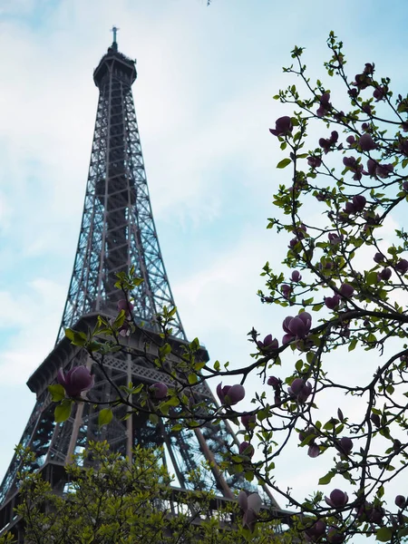 Eiffel Tower of Paris, popular place for tourists — Stock Photo, Image