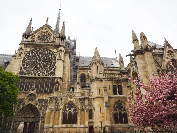 Kuzey Notre-Dame Katedrali Fra yangın dünya mirası önce