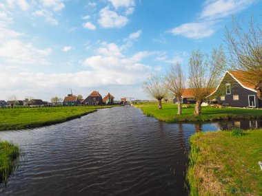 Taşradaki ev. Canlıları ve türbinleri görmek için