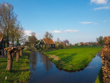 Taşradaki ev. Canlıları ve türbinleri görmek için