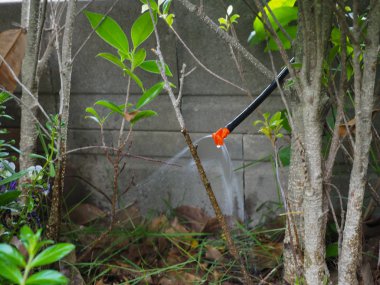 Biftek, itici kadar uzun bir süre saklanan et