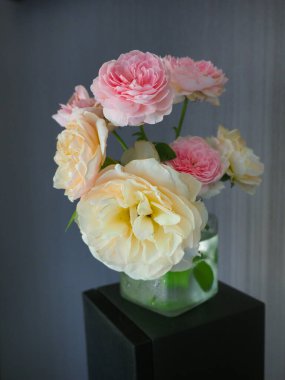 Odamdaki güzel güller