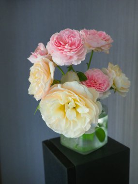 Odamdaki güzel güller