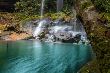 Güzel şelale peyzaj. Phukradung Milli Parkı: loei il Asya Güneydoğu Asya Tayland, ormandaki şelale