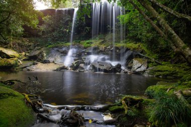 Güzel şelale peyzaj. Phukradung Milli Parkı: loei il Asya Güneydoğu Asya Tayland, ormandaki şelale