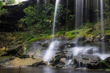 Güzel şelale peyzaj. Phukradung Milli Parkı: loei il Asya Güneydoğu Asya Tayland, ormandaki şelale