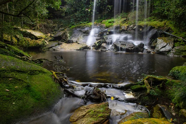 Beautiful waterfall landscape. Waterfall in forest at phukradung national park in loei province asia southeast asia Thailand