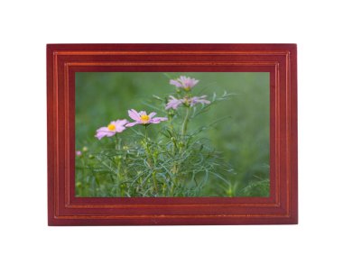 beyaz arkaplanda izole edilmiş ahşap çerçeve