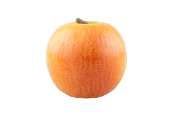 Einzelner Apfel Isoliert Auf Weißem Hintergrund — Stockfoto
