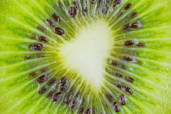 Feche uma fatia de kiwi fresco — Fotografia de Stock