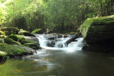 yemyeşil ve yosunlu kayalar ile şelale 