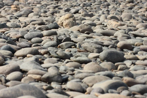 Lecho de grava del lecho del río — Foto de Stock