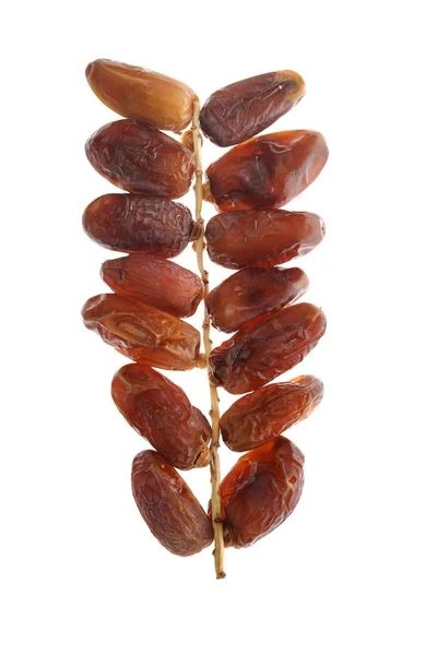 Date secche (Phoenix dactylifera l) isolate su fondo bianco — Foto Stock