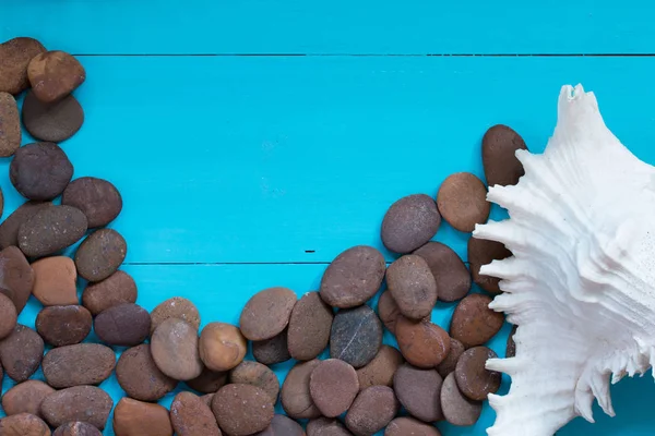 Sommerkonzept: Muscheln und Kiesel auf Holzgrund. — Stockfoto