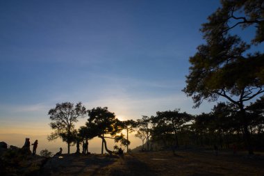 insanların siluetuçurum ve ağaç ile dramatik ışık 