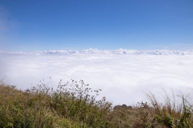 yeşil çimen ve mavi gökyüzü bulutlu.