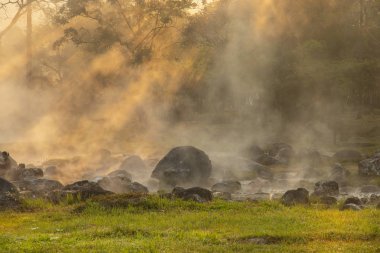 Chae Son Ulus Parkı, Lampang Tayland 'daki Kaplıcalarda Doğal Maden Suyu. 