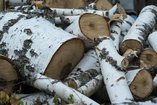a pile of sawn birch wood
