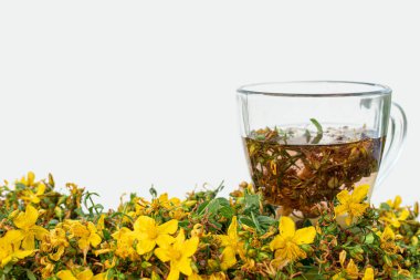   koparılmış çiçek açan Saint-John's-wort