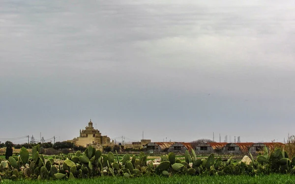 Paisaje Rural Maltés Sur Malta Mediterráneo Europa — Foto de Stock