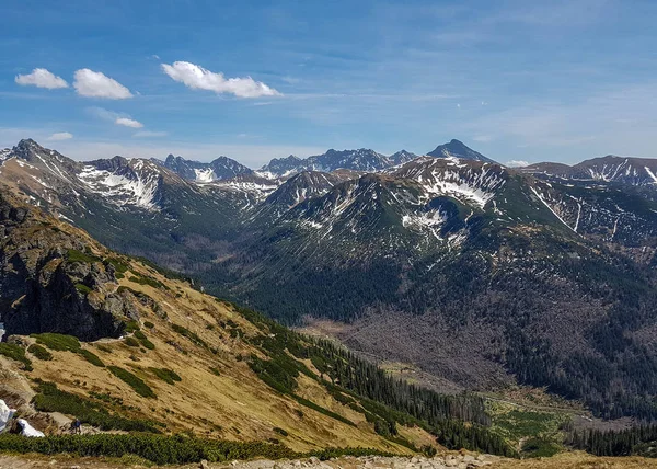 Paesaggio Epico Del Parco Nazionale Tatra Con Montagne Nella Soleggiata — Foto Stock