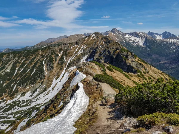 Vista Panoramica Del Parco Nazionale Tatra Con Montagne Nella Soleggiata — Foto Stock