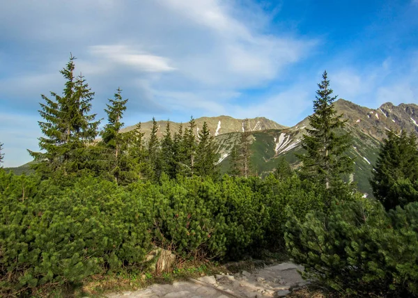 Schilderachtig Uitzicht Van Het Tatra National Park Met Bergen Zonnige — Stockfoto