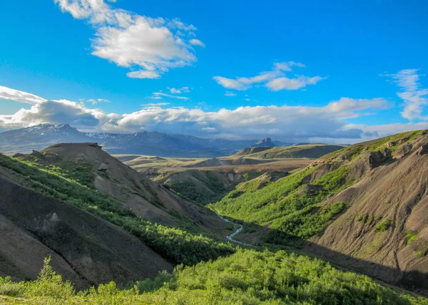 Δες Στο Thorsmork Valley Πράσινη Βλάστηση Βρύα Φτέρη Birchwood Και — Φωτογραφία Αρχείου