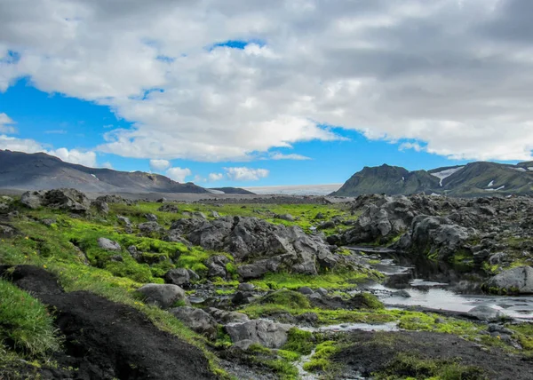 Vue Imprenable Sur Une Minuscule Rivière Aux Berges Verdoyantes Mousseuses — Photo