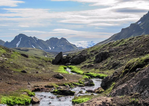 Úchvatný Pohled Malé Řece Jasně Zeleným Mechem Banky Protéká Mýrdalsjökull — Stock fotografie