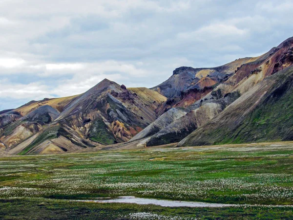 Beau paysage de la zone géothermique Landmannalaugar avec rivière, champ d'herbe verte et montagnes de rhyolite, Islande — Photo