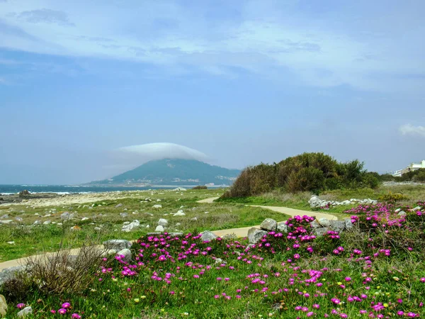 Güzel Bahar Manzara Pembe Mor Çiçekler Dağ Boyunca Saint James — Stok fotoğraf