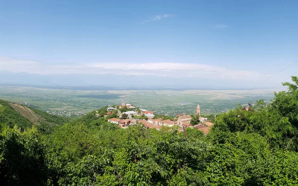 Sighnaghi Georgia Vista Panorámica Del Centro Ciudad Sighnaghi Signagi Valle —  Fotos de Stock