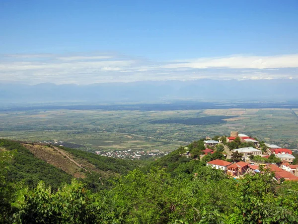 佐治亚州 Kkaheti 卡赫提地区 Sighnaghi 风景如画的风景 柔和的房屋和狭窄的鹅卵石街道的全景 卡赫蒂的建筑 在佐治亚州的热门旅游目的地 — 图库照片