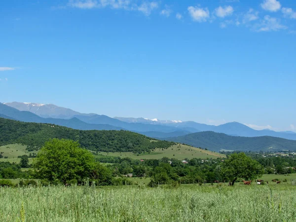 Kakheti, Georgia: Mountain landscape in Kakheti region, popular tourist destination in Georgia