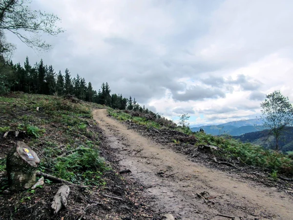 Strada Sterrata Forestale Nelle Montagne Dei Paesi Baschi Camino Del — Foto Stock