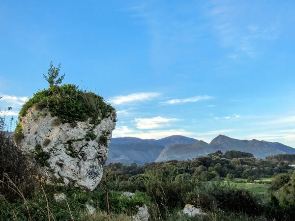 Kuzey James Yolu Spanya Asturias Kıyı Camino Santiago Boyunca Yeşil — Stok fotoğraf