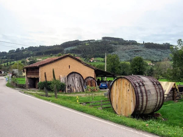 Campagne Gijon Typique Des Asturies Camino Del Norte Voie Côtière — Photo