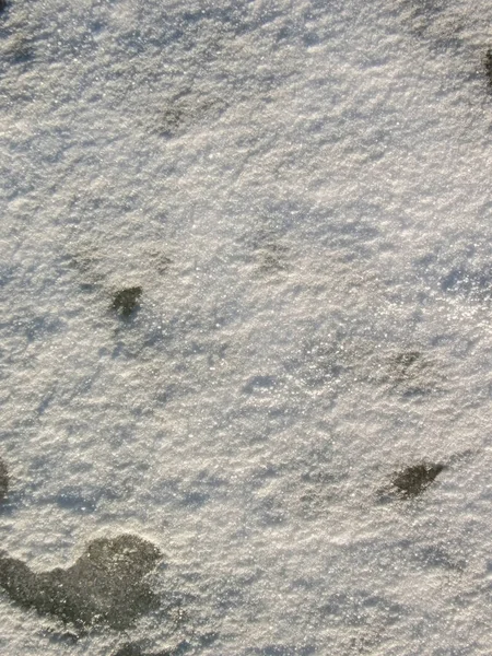 霜や雪によって冬の自然パターン — ストック写真