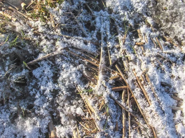 季節限定冬の背景やデザインのテクスチャ: コピーのテキストのための領域と雪と霧氷で覆われて乾いた草や藁 — ストック写真