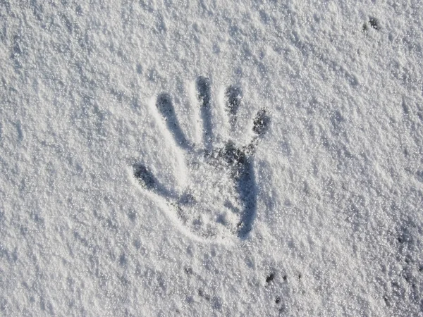 Ανθρώπινη handprint σε φρέσκο λευκό χιόνι — Φωτογραφία Αρχείου