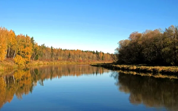 Φθινοπωρινό τοπίο της κοιλάδας του ποταμού Gauja και πολύχρωμο δάσος αντανάκλαση στον καθρέφτη του νερού — Φωτογραφία Αρχείου