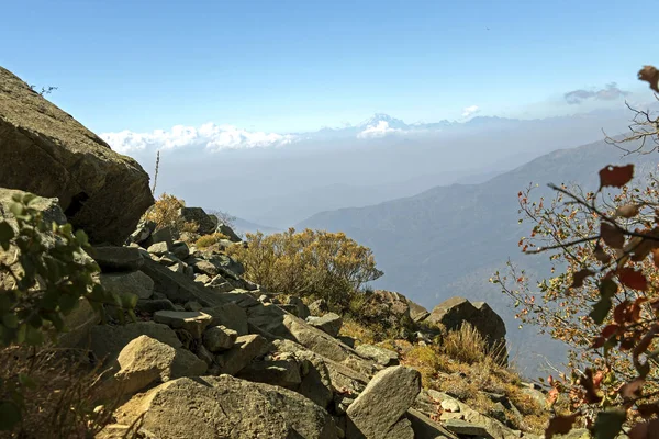 Cenário da caminhada do Parque Nacional La Campana no centro do Chile Imagem De Stock