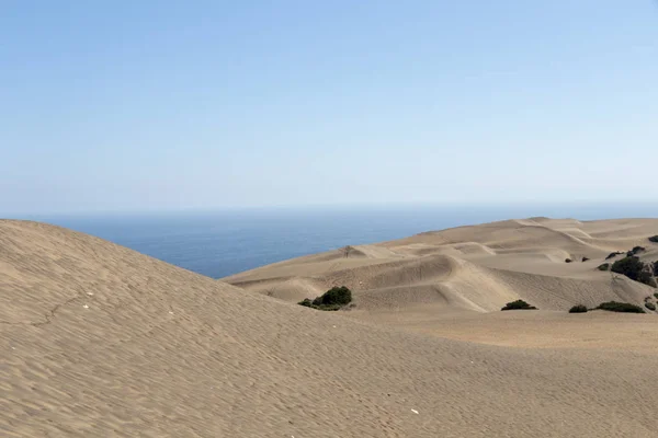 Песчаные дюны на поле Concon Dune, Чили, Южная Америка — стоковое фото