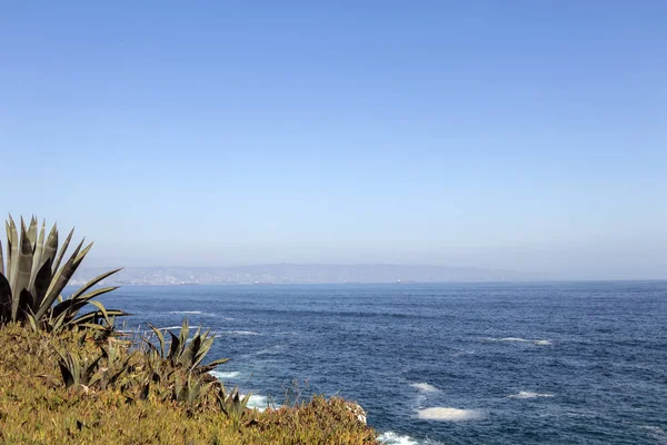 Roca Oceanica: Santuario de la naturaleza en un pequeño promontorio rocoso con áreas de observación Fotos de stock