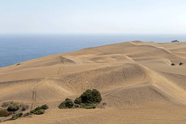 Blick über die Wüstenlandschaft der Concondünen, ein großes Gebiet von Sanddünen in der Nähe von vina del mar, Chile, Südamerika lizenzfreie Stockbilder