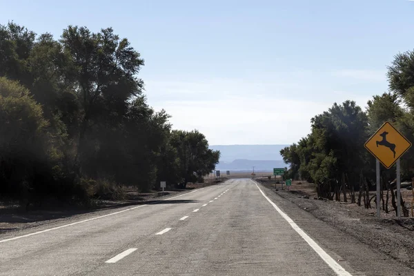 Desert Road: een lange rechte weg met verkeersbord door de Atacama-woestijn, Chili — Stockfoto