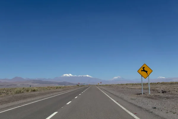 Camino del desierto: Un largo camino recto con señal de tráfico a través del desierto de Atacama, Chile Imagen de archivo